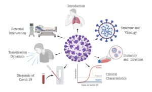 Coronovirus-disease-COVID19